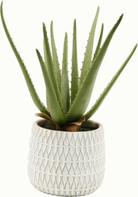 XXXLutz UMELÁ RASTLINA 35 cm - Kvety & kvetináče - 006860006401