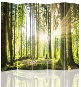 Ozdobný paraván Lesní zeleň - 180x170 cm, päťdielny, obojstranný paraván 360°