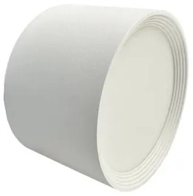 LED Bodové svietidlo LED/12W/230V 4000K pr. 10 cm biela