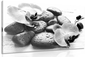 Obraz krásna súhra kameňov a orchidey v čiernobielom prevedení Varianta: 120x80