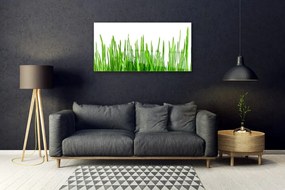 Obraz na skle Tráva rastlina príroda 125x50 cm