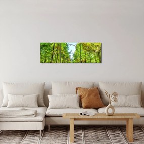 Obraz - Výhľad na les (s hodinami) (90x30 cm)