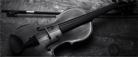 Obraz - Viola (120x50 cm)