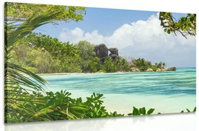 Obraz nádherná pláž na ostrove La Digue Varianta: 60x40