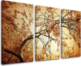 Obraz na stenu 3 dielny KVETY KV009E30 - 60x40 cm