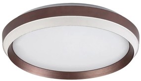 Rabalux 71159 - LED stropné svietidlo FONTANA LED/24W/230V 3000K