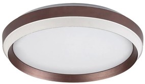 Rabalux Rabalux 71159 - LED Stropné svietidlo FONTANA LED/24W/230V 3000K RL71159