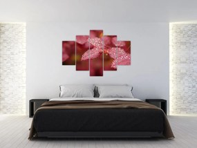 Obraz - Makro snímka lístka (150x105 cm)