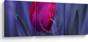 Obraz pupete tulipánu (s hodinami) (90x30 cm)