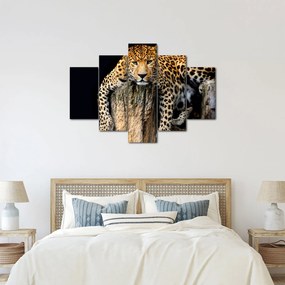 Obraz - Gepard (150x105 cm)