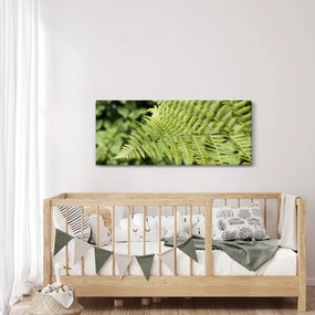 Obraz - Papradinový list (120x50 cm)