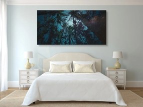 Obraz les pod nočnou oblohou Varianta: 100x50