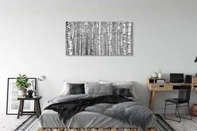 Obraz plexi Čierna a biela strom 125x50 cm