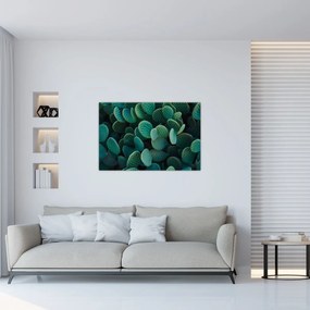 Obraz - Opuncie (90x60 cm)