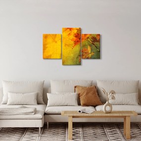 Obraz - Jesenné listy (90x60 cm)