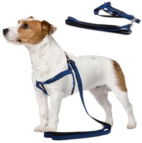 Postroj pre psa s vodítkom 125cm - reflexný | modrý