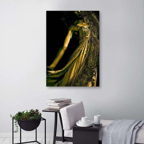 Obraz na plátně, Zlatý půvab ženy - 80x120 cm