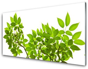 Skleneny obraz Vetva listy rastlina príroda 120x60 cm