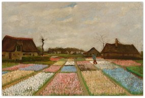 Obraz - Vincent van Gogh, Flower Beds in Holland, reprodukcia (90x60 cm)