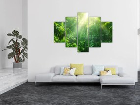 Obraz - Dažďový prales (150x105 cm)