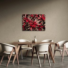 Obraz červených okvetných lístkov (70x50 cm)