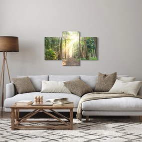 Obraz cestičky v lese (90x60 cm)