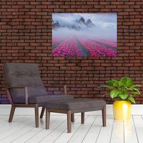 Obraz - Krajina s tulipánovými poľami (90x60 cm)