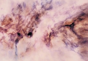 Fototapeta - Ružová abstrakcia (147x102 cm)