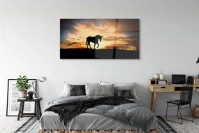 Obraz na akrylátovom skle Unicorn sunset 140x70 cm