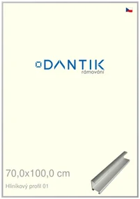 DANTIK rám na obraz 70x100 | ALU Stříbrná matná (Plexi Čiré)