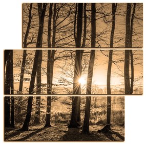 Obraz na plátne - Jesenné ráno v lese - štvorec 3251FD (105x105 cm)