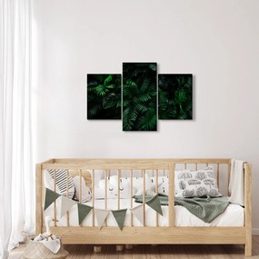 Obraz - Tropické papradie (90x60 cm)