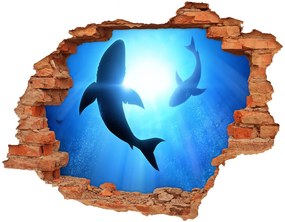 Samolepiaca nálepka na stenu Dva žraloky nd-c-69178156
