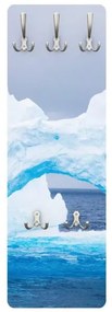 Vešiak na stenu Antarktický ladový kopec