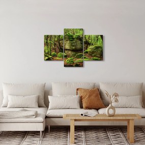 Obraz čarovného lesa (90x60 cm)