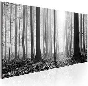 Obraz - Black and White Forest Veľkosť: 120x40, Verzia: Premium Print