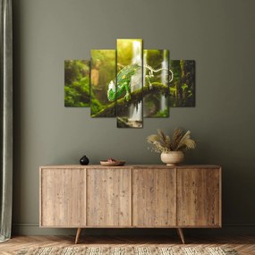 Obraz chameleóna (150x105 cm)