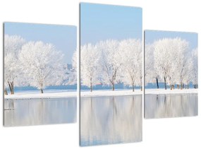 Obraz - zimná príroda