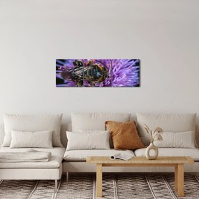 Obraz včely na kvetine (s hodinami) (90x30 cm)
