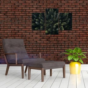 Obraz - Les (90x60 cm)