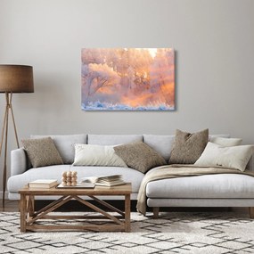 Obraz - Mrazivé svitanie (90x60 cm)