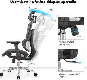 Kancelárska ergonomická stolička Neoseat GARY FULLMESH — čierna, nosnosť 150 kg