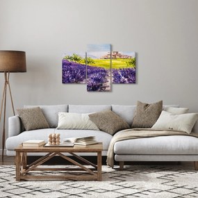 Obraz - Provance, Francúzsko, olejomaľba (90x60 cm)
