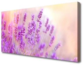 Obraz Canvas Levanduľovej pole slnko kvety 120x60 cm