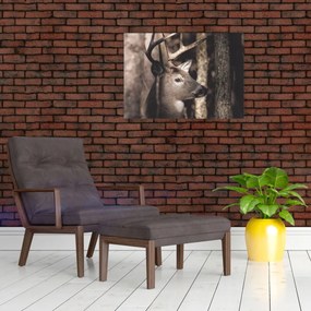 Obraz - Jeleň v lese (70x50 cm)