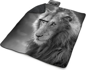 Sablio Plážová deka Levíček: 200x140 cm