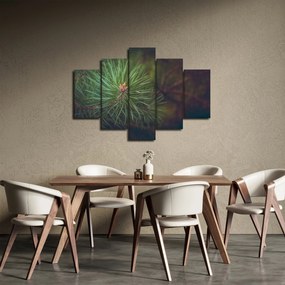 Obraz - Detail borovice (150x105 cm)