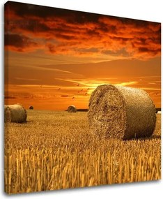 Obraz na stenu KRAJINA KR034E12