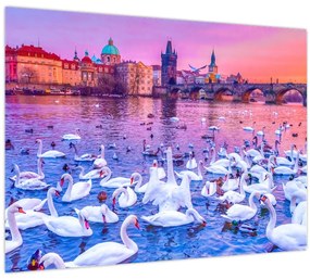 Sklenený obraz - Praha (70x50 cm)