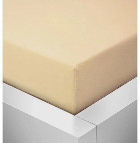 Jersey prestieradlo Standard krémová, 90 x 200 cm